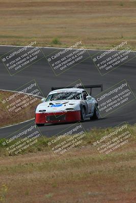 media/May-04-2024-Lucky Dog Racing (Sat) [[d39539b3f3]]/Race Pics/1015am (Turn 2)/